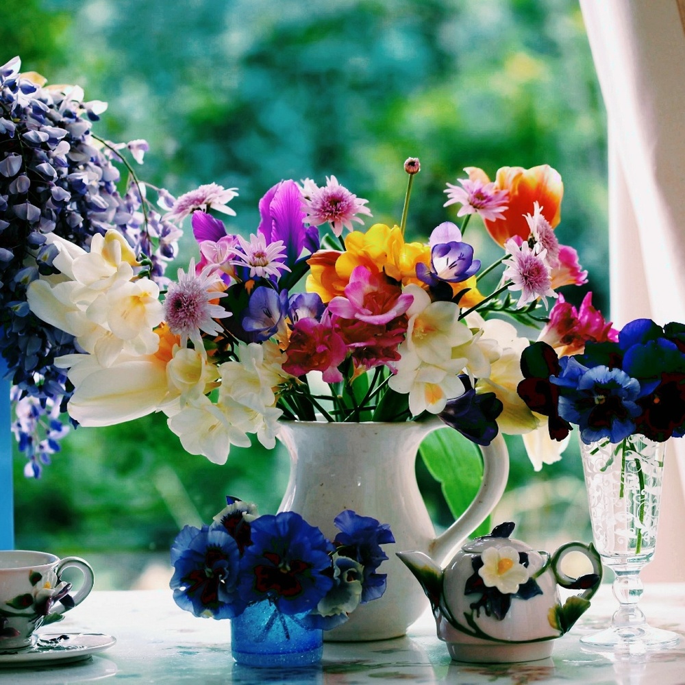 Meet your Posher, Bettie